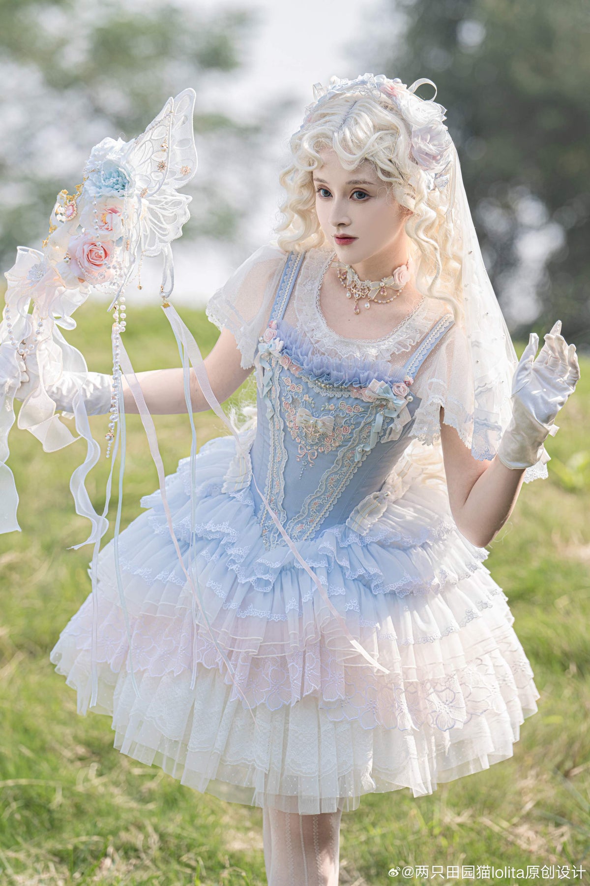 Dream Dance Lolita Bridal Embroidered Blue Boned Corset Dress