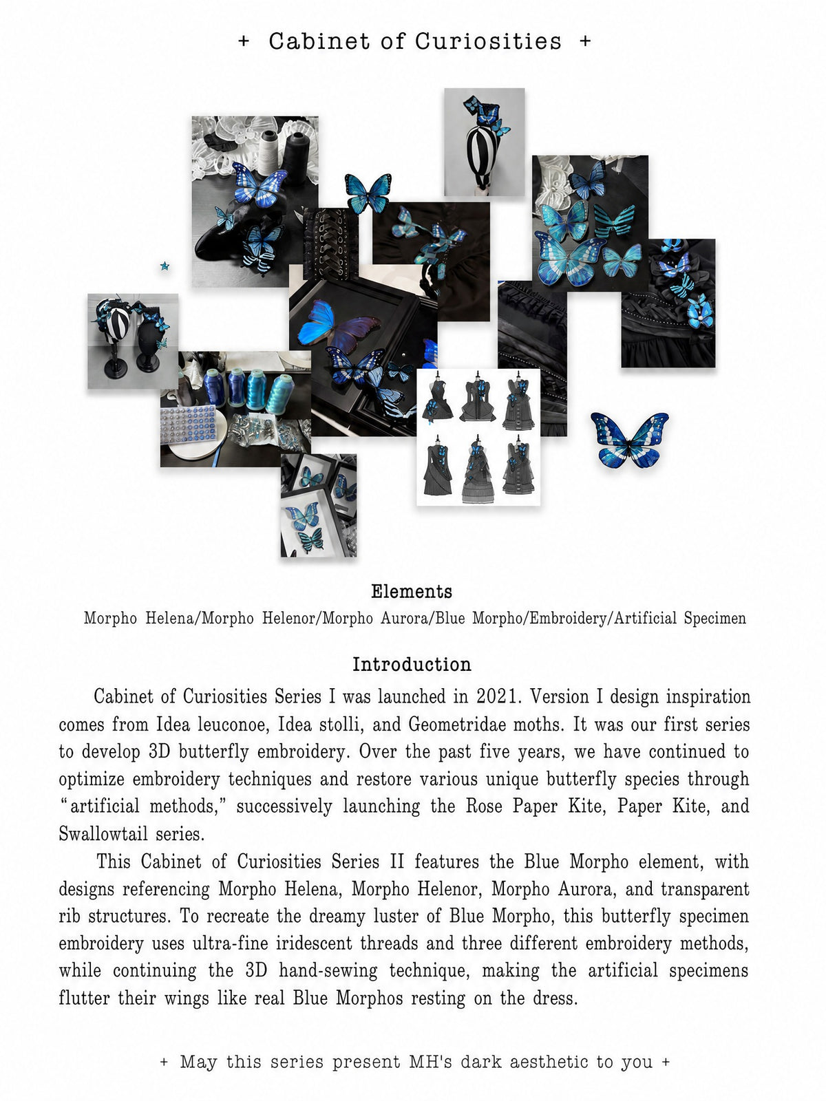 Cabinet Of Curiosities II Dark Gothic Butterfly Hair Accessories