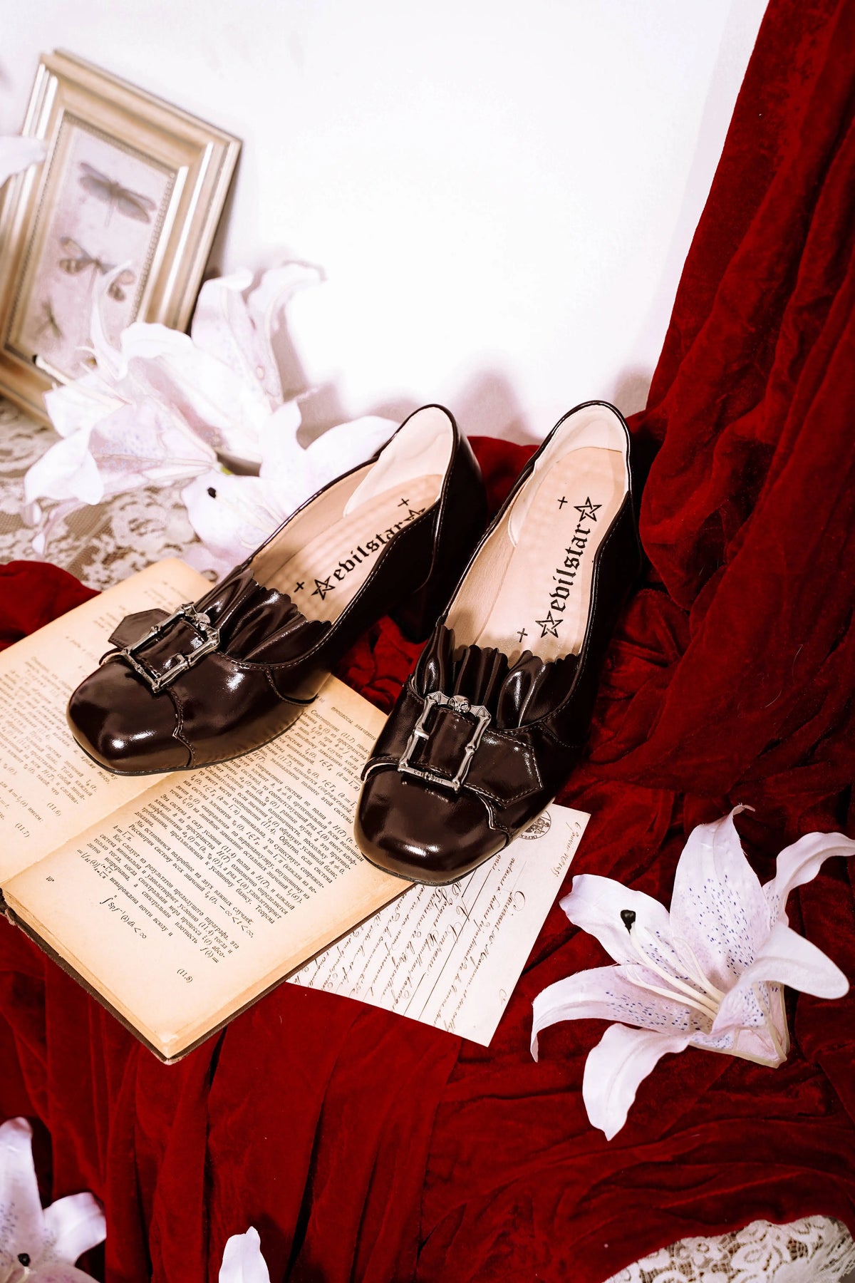 Century Elegance Vintage Gothic Mary Jane Block Heel Lolita Pumps