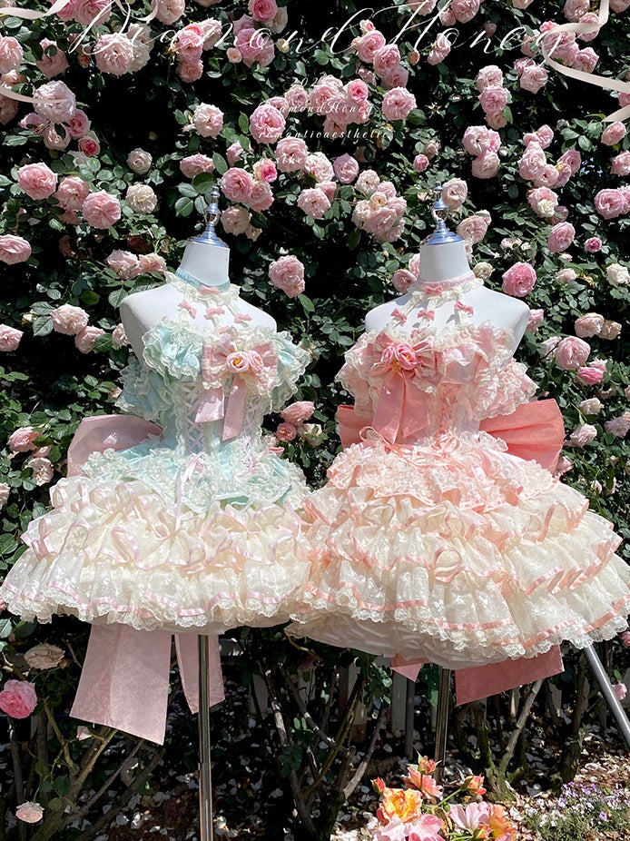 Spring Romance Princess Dress JSK LFD0004